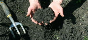 Україна вивчає досвід Чехії в оцінці забруднення земель та підземних вод ФОТО: ілюстративне /bbc.co.uk