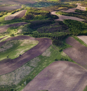 ФОТО: последствия войні / bci.co.uk