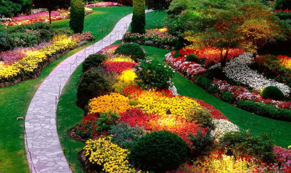 Класичний дизайн саду: чим відрізняється й кому підійде (ФОТО) Фото: «Доторкнись до природи»