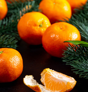 ФОТО: иллюстративное / Getty Images