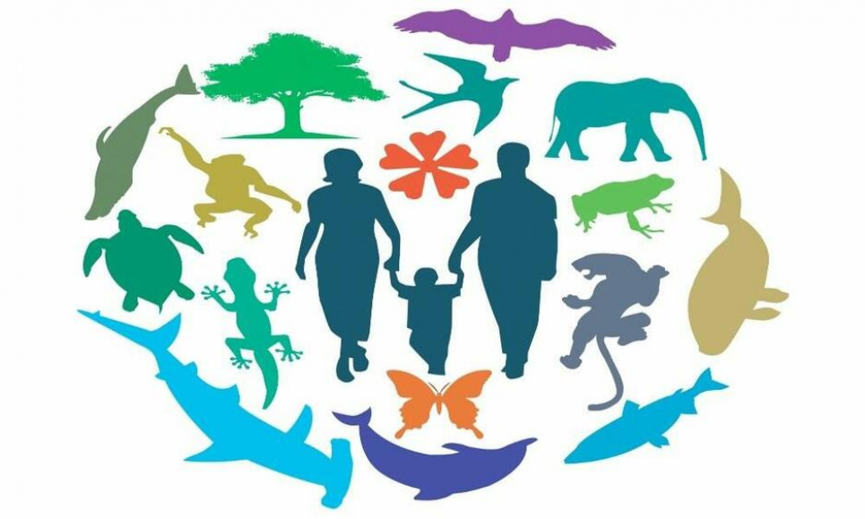 World Evolution Day- 24 листопада - Всесвітній день еволюції Всесвітній день еволюції
