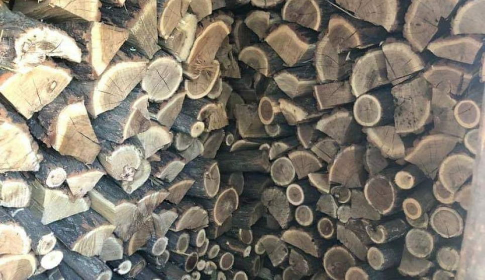 ДЕІ виявила незаконну вирубку майже 4 га дерев на Житомирщині Незаконна вирубка біля дерев.
Фото ілюстративне