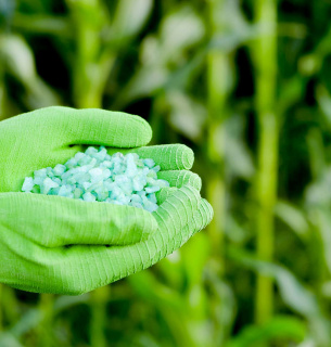 Як український агросектор адаптується до вимог ЄС