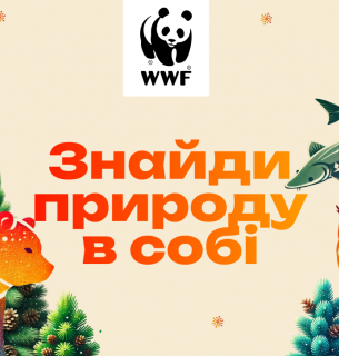 Щодня у календарі відкривається "віконечко" із невеличким сюрпризом.