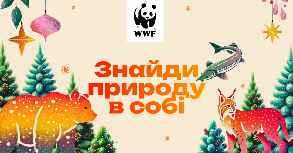 Щодня у календарі відкривається "віконечко" із невеличким сюрпризом.