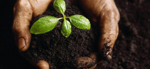 Конференция BTU «Здоровые почвы – здоровое агро»: более 600 участников обсудили пути восстановления деградированных почв и важность аграрного образования