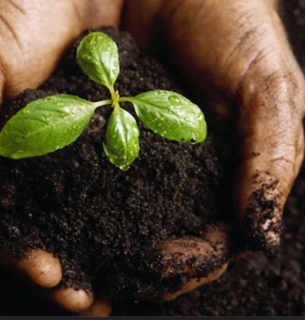 Конференція BTU "Здорові ґрунти – здорове Агро": понад 600 учасників обговорили шляхи відновлення деградованих ґрунтів та важливість аграрної освіти