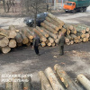 Руководители агролесхозов на Сумщине продавали нелегально древесину