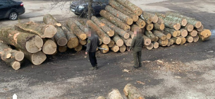 Чиновники лесхоза "наторговали лесом" на почти 11 млн гривен Руководители агролесхозов на Сумщине продавали нелегально древесину