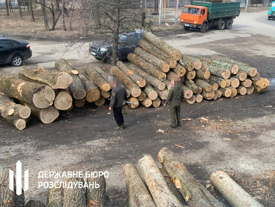 Чиновники лесхоза "наторговали лесом" на почти 11 млн гривен Руководители агролесхозов на Сумщине продавали нелегально древесину