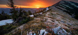 ФОТО: иллюстративное