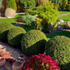 Фото: Dream Garden