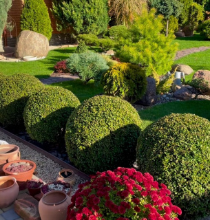 Фото: Dream Garden