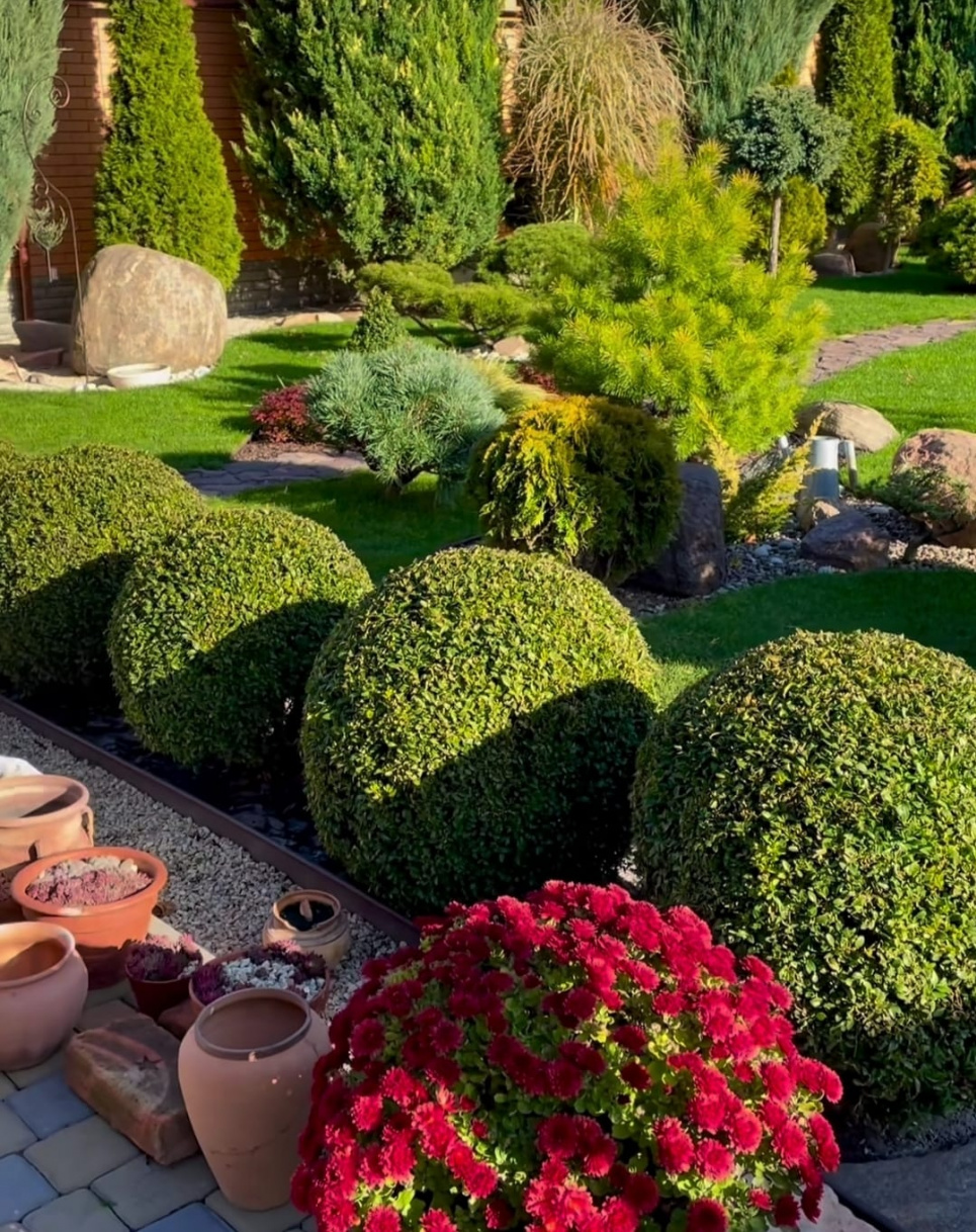 Фото: Dream Garden