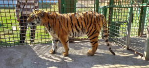 ФОТО: ілюстративне / zoo.vn.ua