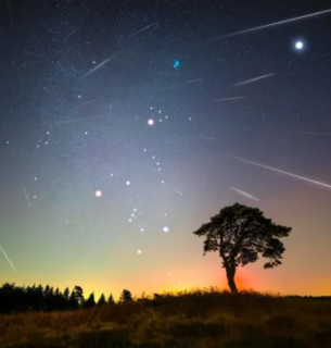 Зорепад Ліриди