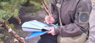 Рейд к празднику: во время операции "Новогодняя елка" найдены нарушения Операция Новогодняя елка: выявлены нарушения