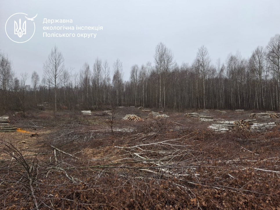 На Житомирщині ДЕІ виявили масштабну порубку дерев різних порід На Житомирщині ДЕІ виявили масштабну порубку дерев різних порід