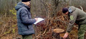 Более 1,5 млн грн убытков - результат инвентаризации одного из лесничеств на Ривненщине Более 1,5 млн грн убытков - результат инвентаризации одного из лесничеств на Ривненщине