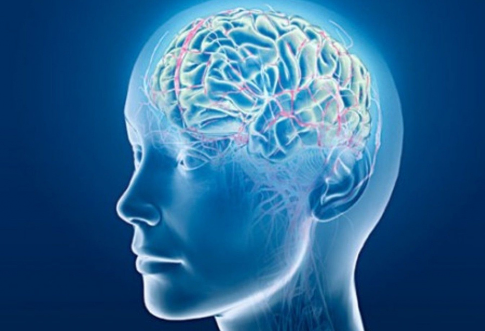 "Мозкова деградація": Оксфордський словник визначив слово року ФОТО: ілюстративне