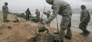 Территория загрязнения нефтепродуктами Приазовского нацпарка превысила 27 км ФОТО: Волонтеры в районе Керчи очищают берег моря от последствий разлива нефти / Yuri Kochetkov/dpa/picture-alliance