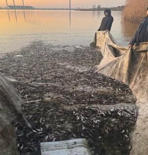 Кучурганское водохранилище пополнилось зарыбленным