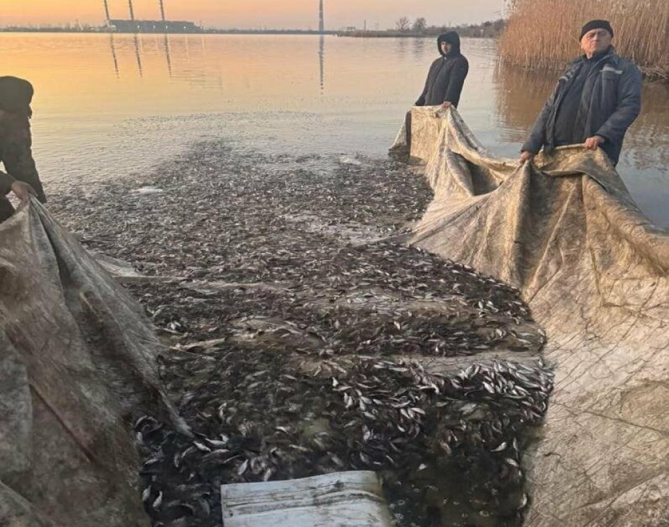 Кучурганське водосховище поповнилося зариблене