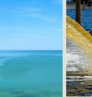 Як стічні води впливають на стан Дністровського лиману