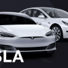 Модели Tesla: какую выбрать?