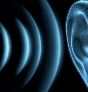 Міжнародний день поінформованості про шум: вплив на здоров'я