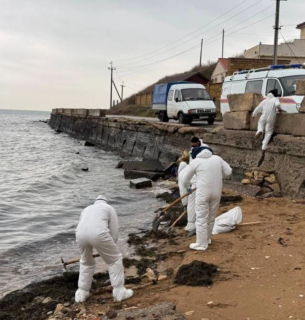 ФОТО: на побережжі Чорного моря у Криму збирають мазут, який принесла вода