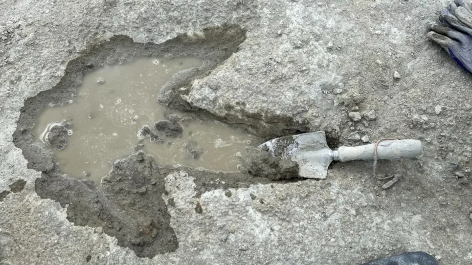 Своєрідний «автобан динозаврів»: у Великій Британії знайшли сліди викопних рептилій віком 166 млн років Надзвичайна знахідка: у Великій Британії виявлено понад 200 слідів динозаврів. Фото: Музей природознавства Оксфордського університету