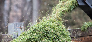 Пункты приема елок в Киеве 2026: адреса, карта и правила утилизации