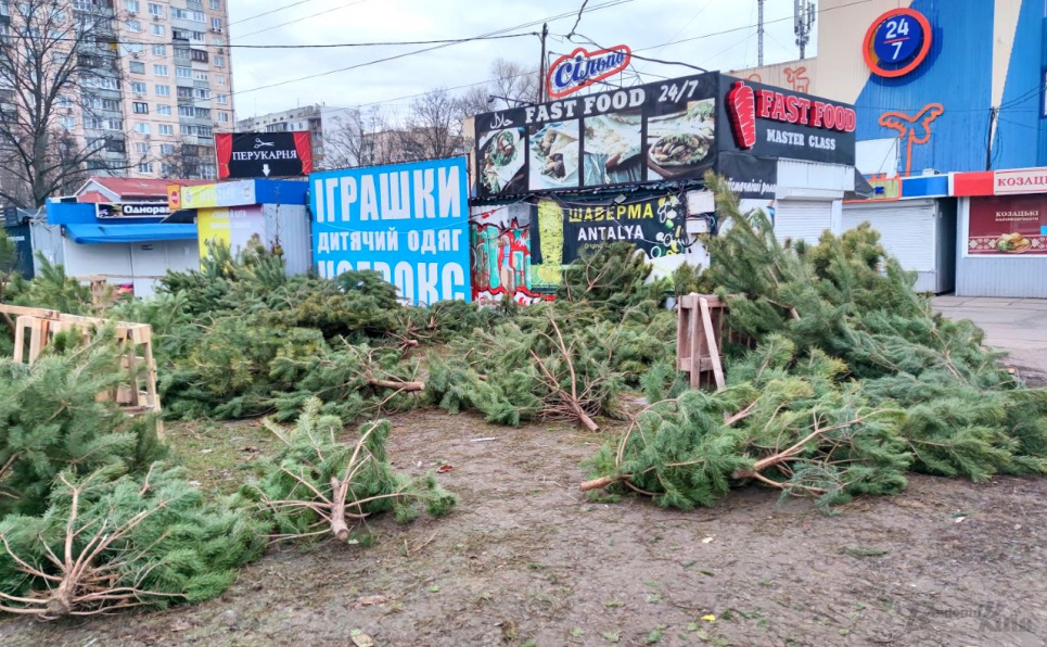 ФОТО: екологічна утилізація ялинок