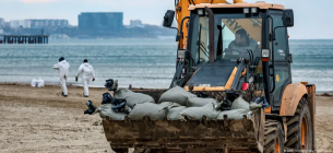 Катастрофа танкерів біля берега Криму: мазут дійшов до Севастополя Збір мазуту на околицях Анапи, 26 грудня 2024 року. Фото: Dmitry Feoktistov/dpa//TASS/picture alliance