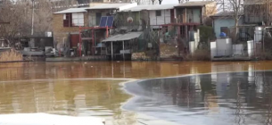 З річки Південний Буг зібрали 70 т олії, що витекла з агропідприємства ФОТО: забруднення олією води у ріці Південний Буг / ДСНС