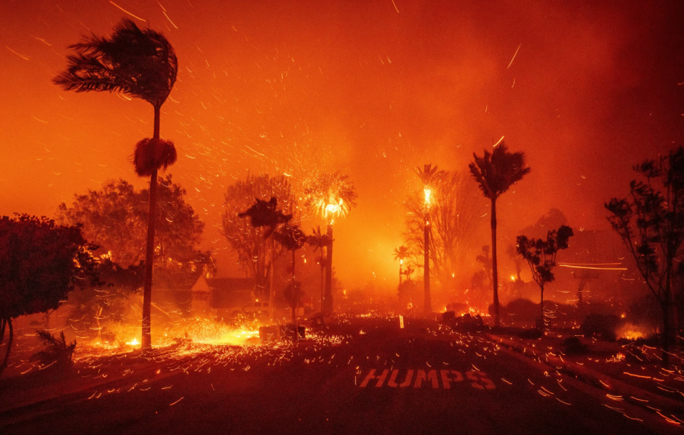 ФОТО: лісові пожежі в окрузі Лос-Анджелеса / The Epoch Times