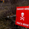 Фото: ілюстративне / ДСНС