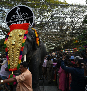 ФОТО: слон під час індійського фестивалю Kerala Festival / The Hindu