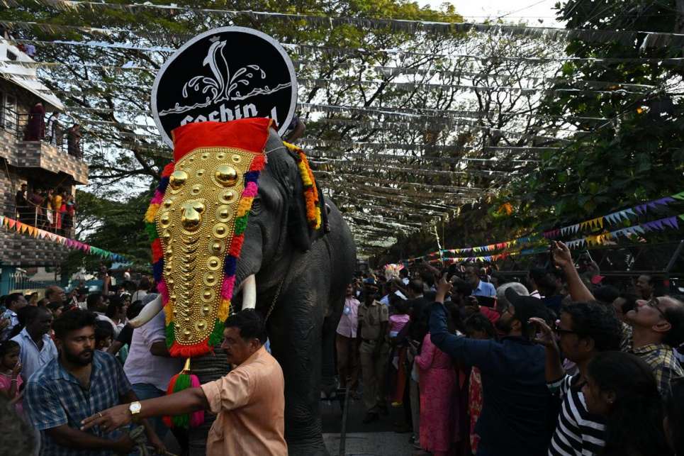 ФОТО: слон під час індійського фестивалю Kerala Festival / The Hindu