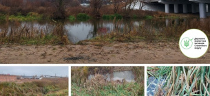 ФОТО: У водоймі під Києвом шкідливі речовини перевищили норму у 37 разів / Державна екологічна інспекція Столичного округу