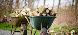 Заготовка дров возле водоемов - разрешено ли это законом Сбор дров возле водоемов. Фото: Ria / Pixabay