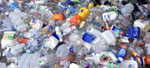 Мікропластик із пластикових пляшок шкодить підшлунковій залозі