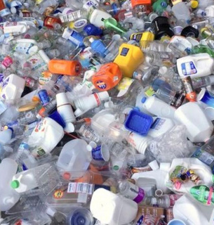 Микропластик из пластиковых бутылок вредит поджелудочной железе