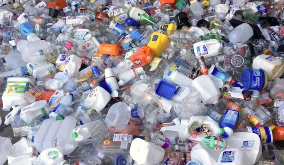 Микропластик из пластиковых бутылок вредит поджелудочной железе