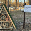 ФОТО: дом для насекомых, установленный в столичном парке "Победа" / КП по СЗН Днепровского района