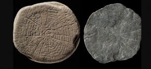 Людей 5 тысяч лет назад тоже волновали проблемы изменения климата: что с ними произошло? ФОТО: "солнечные камни", находка археологов на датском острове в Балтийском море / National Museum of Denmark