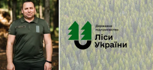 Руководство ГП "Леса Украины" подозревают в злоупотреблениях при закупке телефонов Виконавчий директор ДП "Ліси України" Ігор Лицур. Фото: e-forest.gov.ua