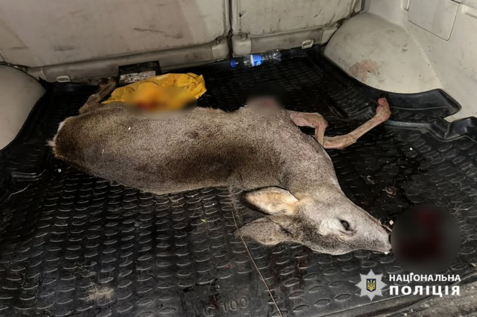 Поліція затримала браконьєрів з убитою косулею на Черкащині (ФОТО) На Черкащині затримали браконьєрів за незаконне полювання на косулю. Фото: Нацполіція