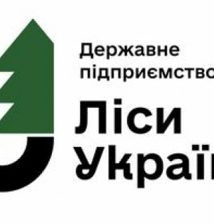 Кабмін затвердив міжнародних експертів у наглядову раду держпідприємства "Ліси України"